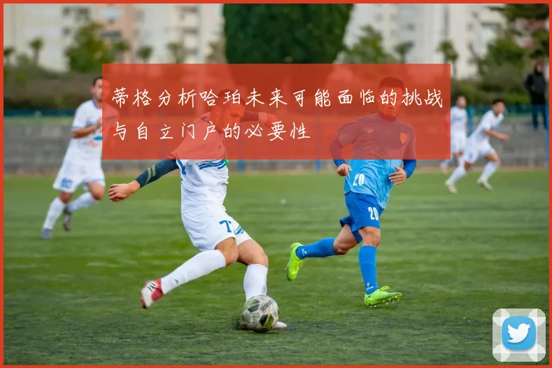 蒂格分析哈珀未来可能面临的挑战与自立门户的必要性